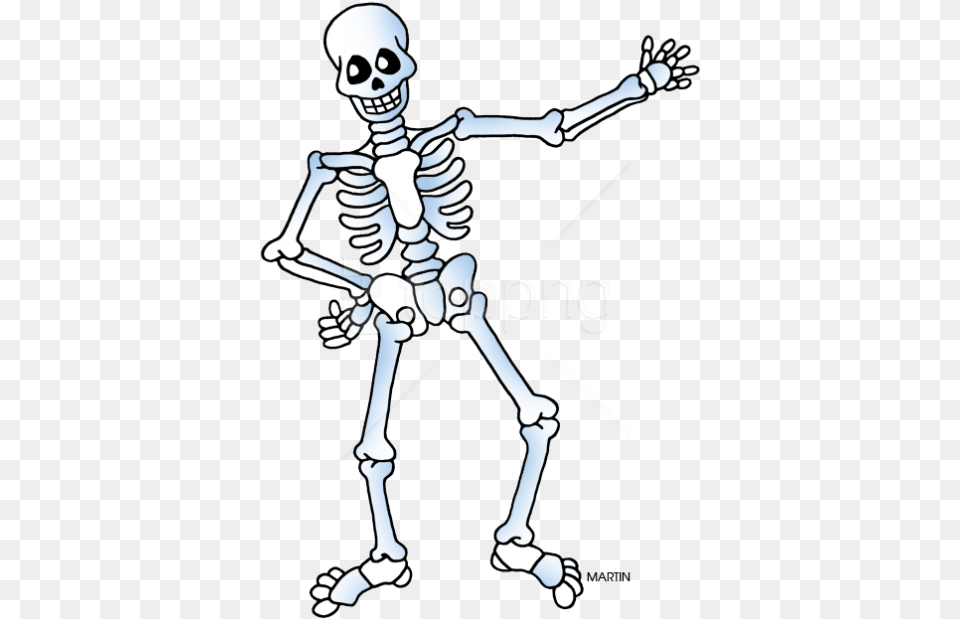 Free Download Free Skeleton Public Domain Halloween Skeleton Clipart, Person Png