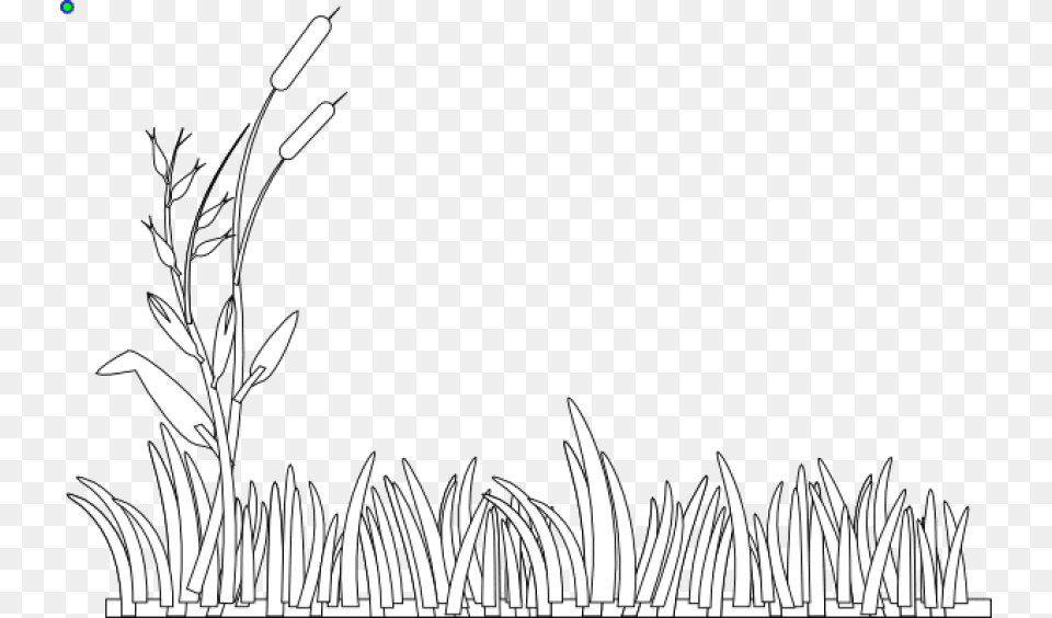 Free Download Grass Black And White Images Black And White Clip Art Grass, Graphics, Plant, Floral Design, Pattern Png