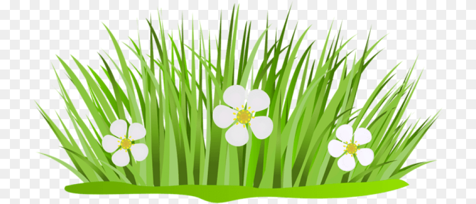 Free Download Grass Patch With Flowers Images Grass With Flower Clipart, Anther, Plant, Green, Anemone Png