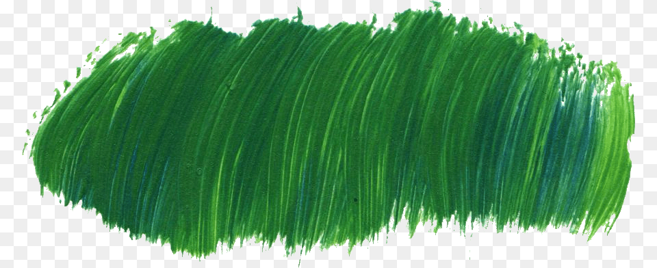 Download Green Acrylic Paint Strokes, Plant, Grass, Moss Free Transparent Png