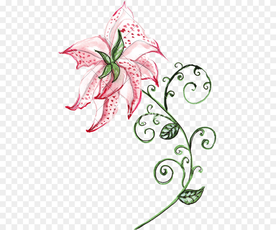Download Hand Of Ornament Photos Drawing, Art, Floral Design, Flower, Graphics Free Transparent Png