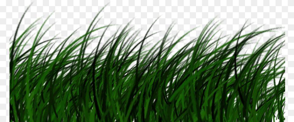 Download High Quality Grass Transparent Image Portable Network Graphics, Green, Plant, Vegetation, Lawn Free Png