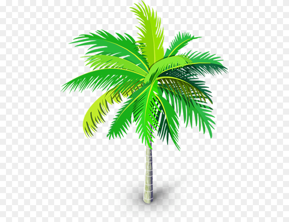 High Quality Palm Tree Vector Clip Art Palm Tree Vector, Palm Tree, Plant, Leaf Free Png Download