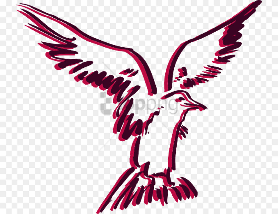 Download How To Set Use Flying Bird Outline Clip Art, Animal, Vulture, Smoke Pipe, Waterfowl Free Transparent Png
