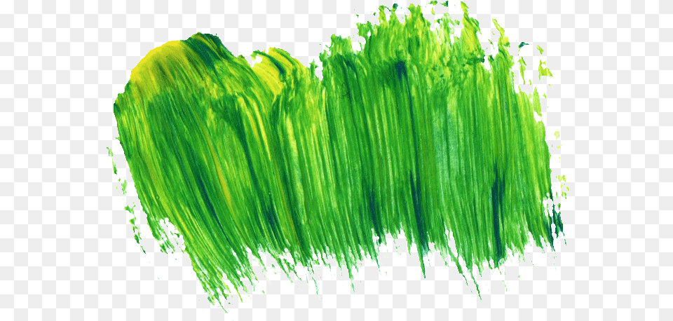 Free Download Illustration, Grass, Green, Plant Png Image