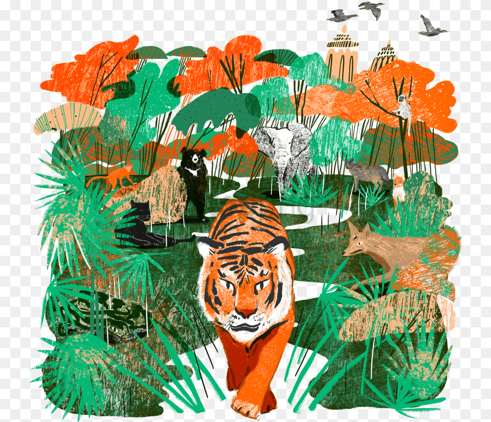 Free Download Jungle Book Illustration Madhya Pradesh Illustration, Animal, Vegetation, Plant, Zoo Png