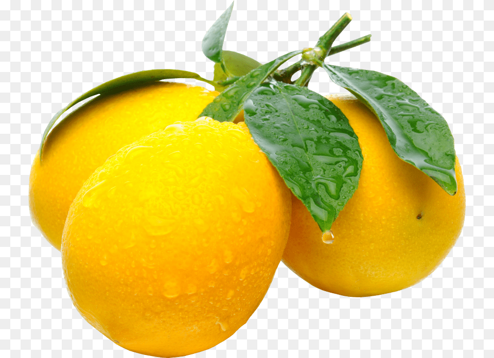 Free Download Lemons Background Lemon, Citrus Fruit, Food, Fruit, Grapefruit Png Image