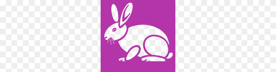 Free Download Mammal Clipart European Rabbit Easter Bunny Bunny, Animal, Hare, Rodent, Fish Png