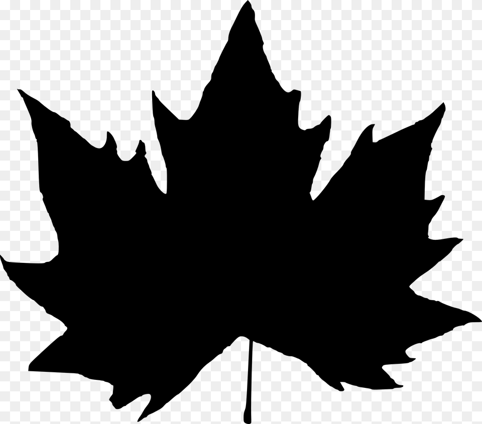 Free Download Maple Leaf Silhouette, Plant, Maple Leaf, Animal, Cat Png