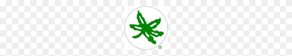 Download Of Ohio State Buckeye Leaf Vector Graphics, Plant Free Png
