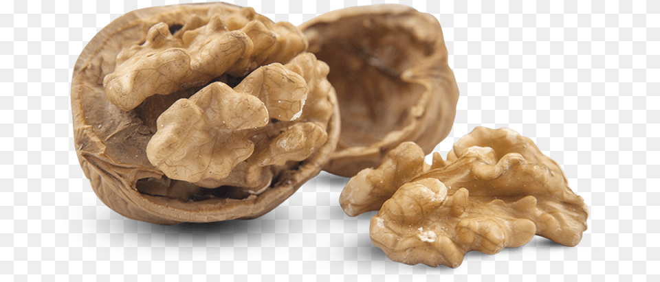 Free Download Of Walnut Clipart Walnut, Food, Nut, Plant, Produce Png Image