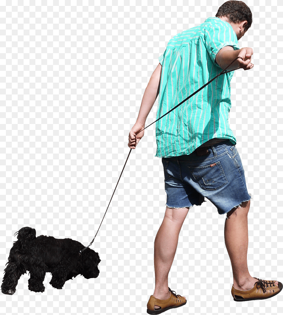 Download People Icons And Backgrounds People Walking Transparent Background, Shorts, Clothing, Male, Adult Free Png