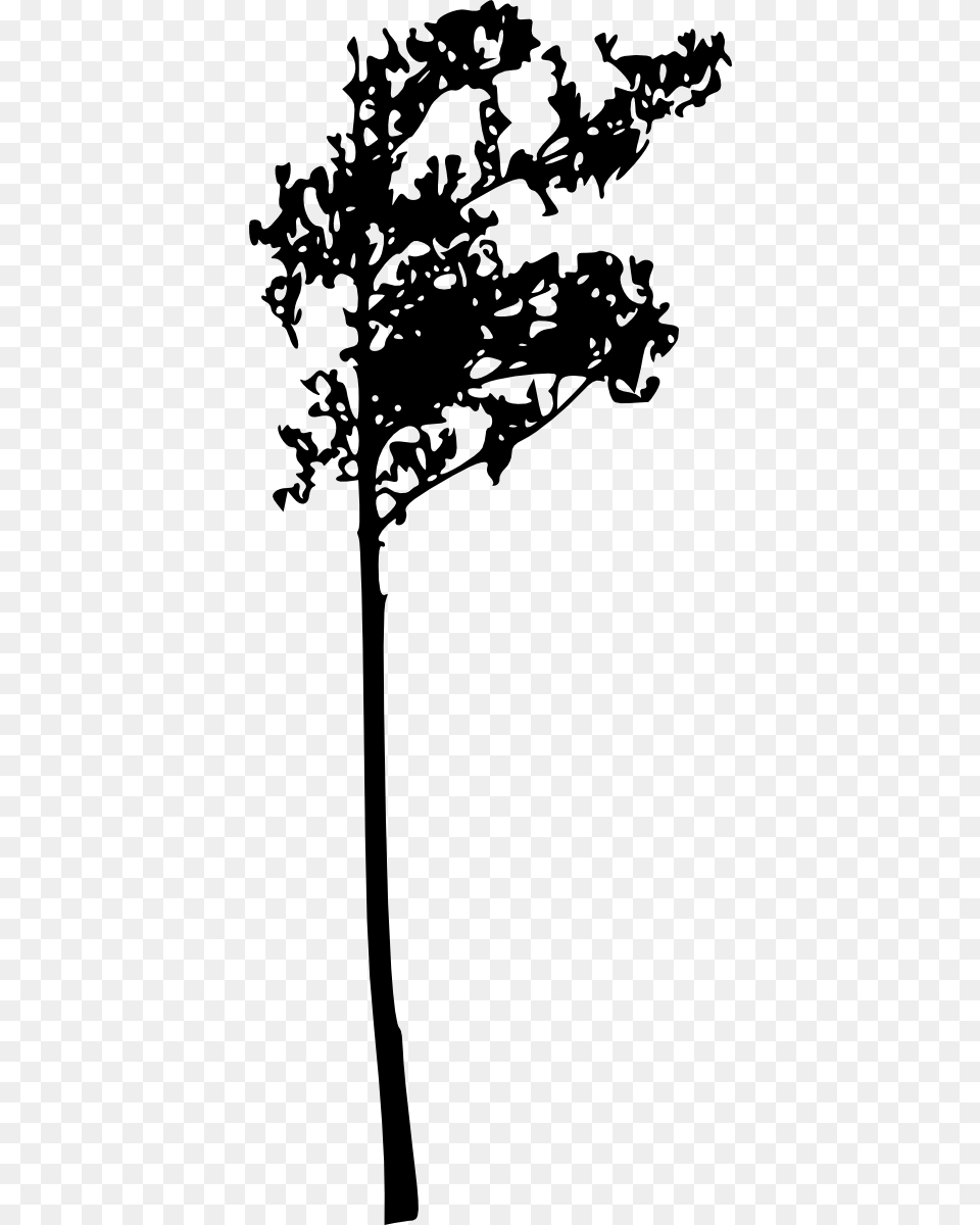 Silhouette, Plant, Tree, Stencil, Tree Trunk Free Png Download