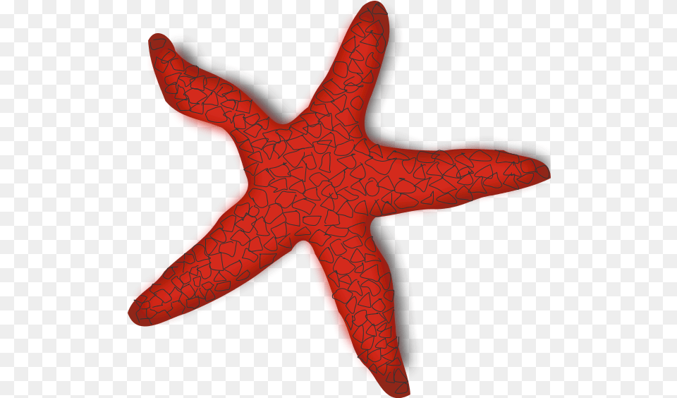 Free Download Starfish Clip Art Sea Star, Animal, Sea Life, Invertebrate Png