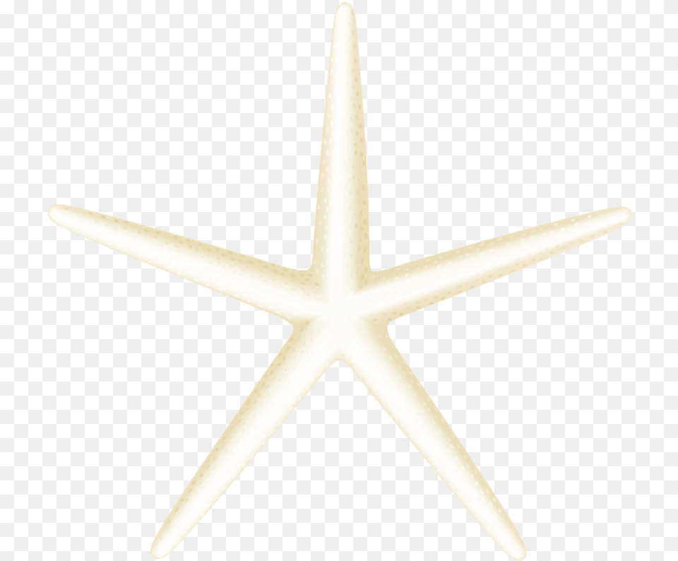 Download Starfish Clipart Starfish, Animal, Sea Life, Blade, Dagger Free Transparent Png