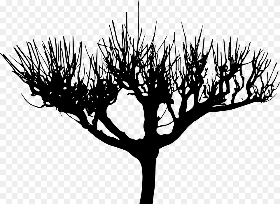Tree Silhouette, Plant, Animal, Invertebrate, Spider Free Png Download
