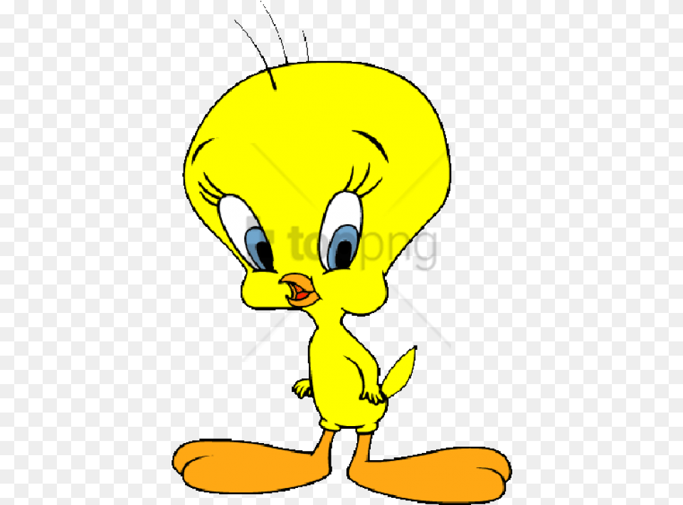 Free Download Tweety Bird Vector With Transparent Tweety Bird Vector With Transparent Background, Animal, Baby, Person Png Image