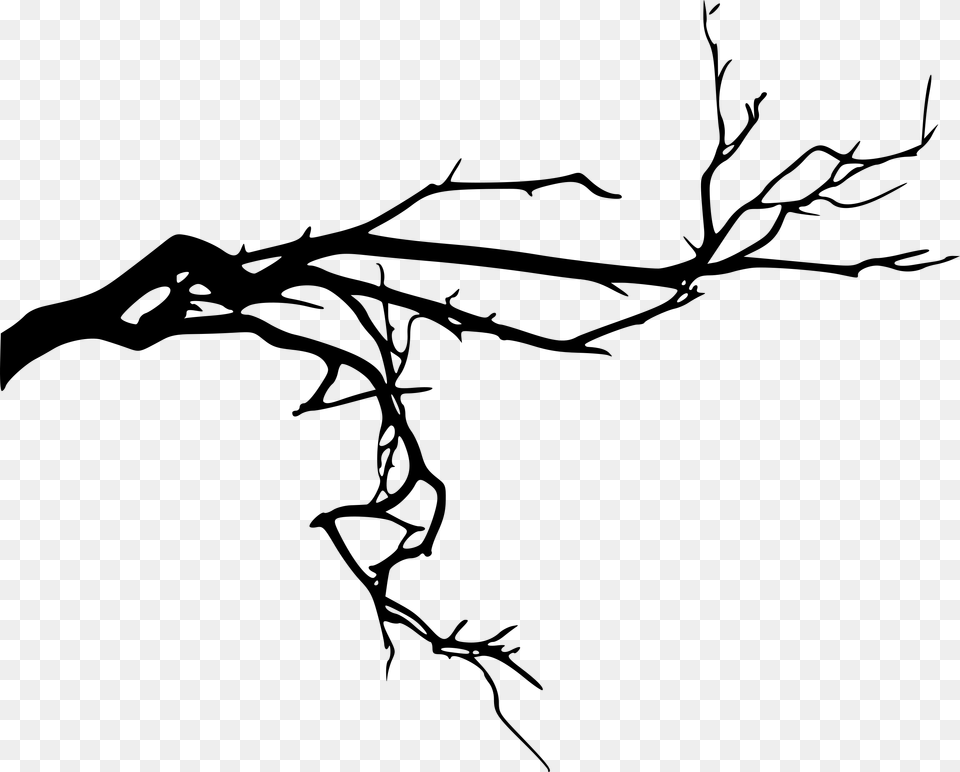 Download Twig, Gray Free Transparent Png