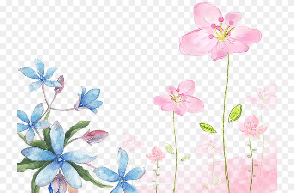 Download Watercolor Flowers Background, Anemone, Anther, Flower, Geranium Free Png
