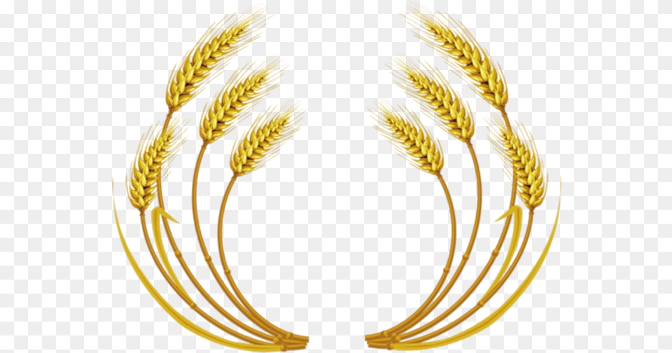 Download Wheat Vector Clipart Wheat Clip Art Wheat Vector, Food, Grain, Produce, Chandelier Free Transparent Png