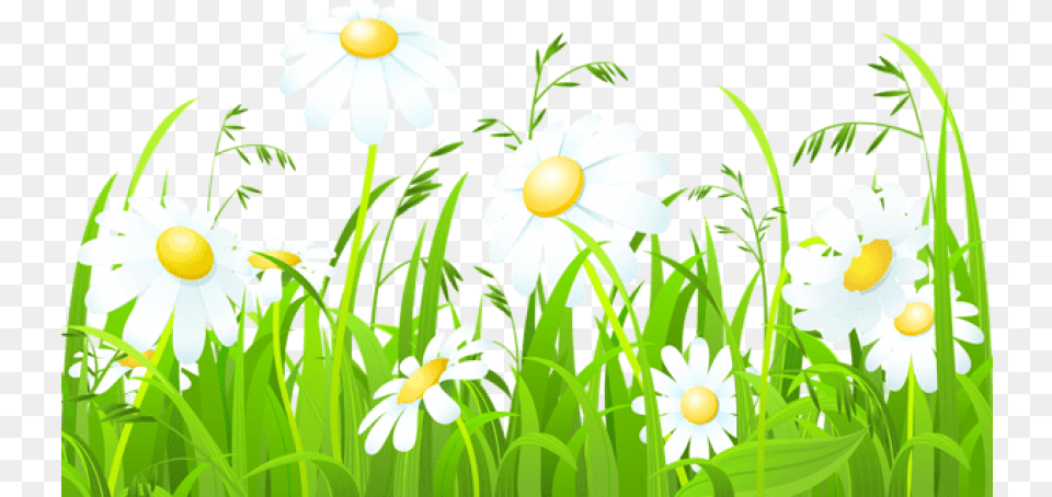 Download White Flowers And Grass Grass Border Design Clipart, Daisy, Flower, Plant, Green Free Transparent Png