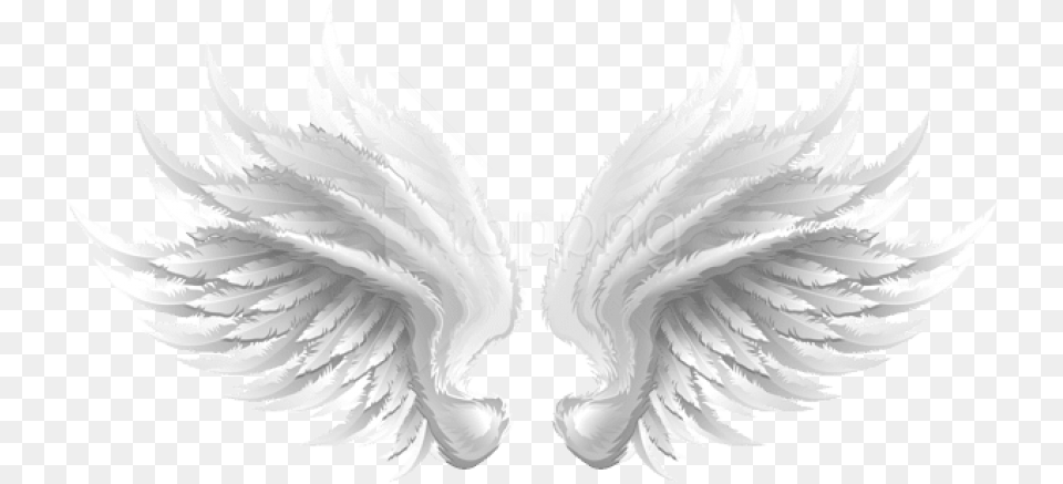 Download White Wings Transparent Clipart White Wings, Accessories, Jewelry, Animal, Fish Free Png