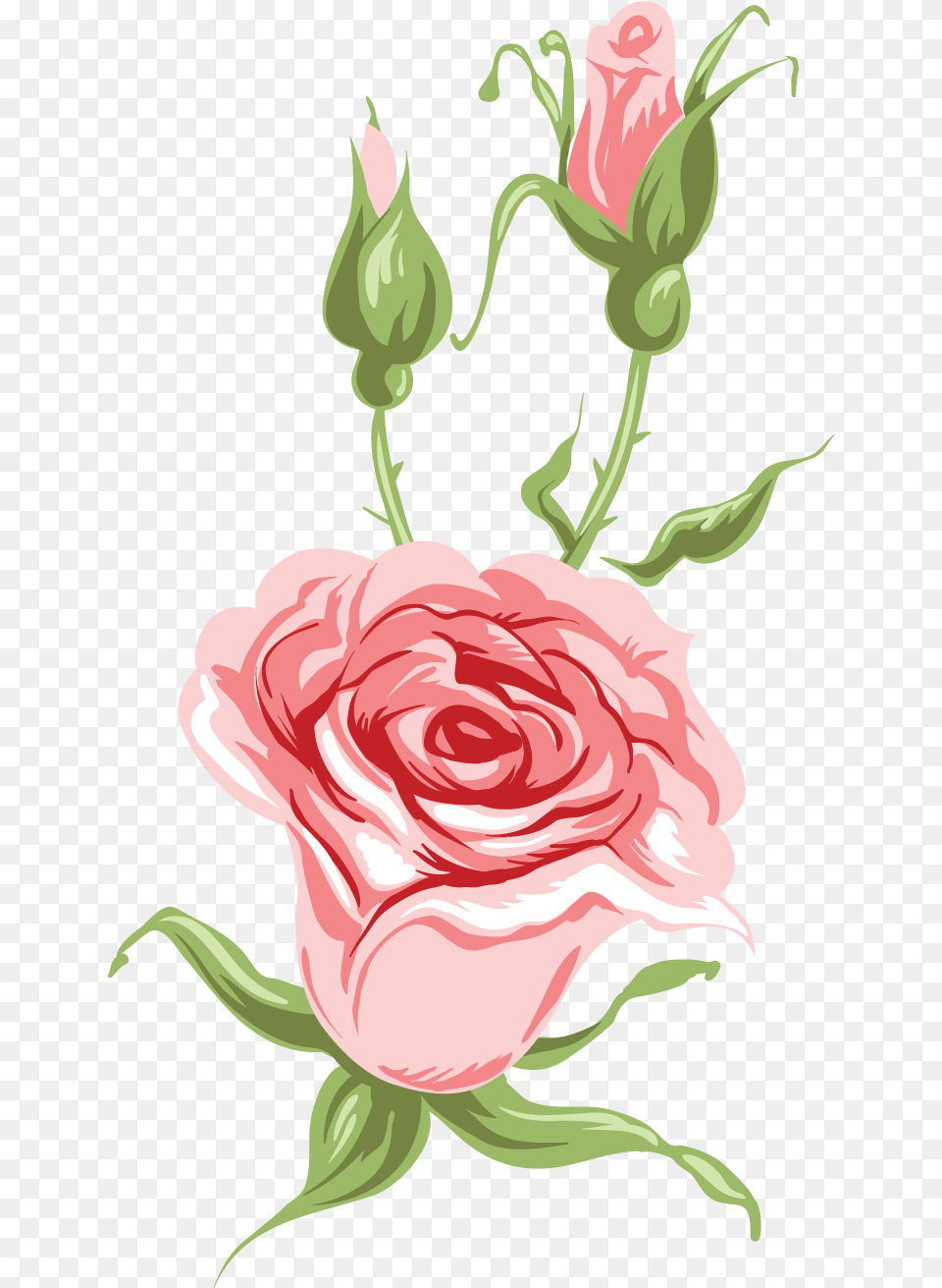 Downloads Garden Roses, Flower, Plant, Rose, Art Free Png Download