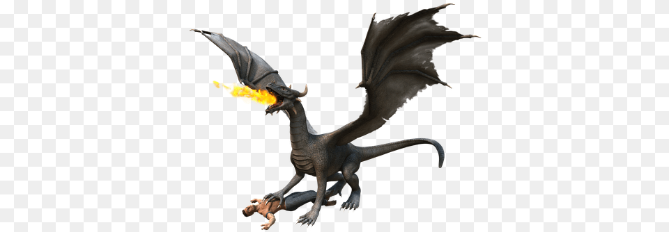 Dragon Fire U0026 Pixabay Person Riding A Dragon, Animal, Dinosaur, Reptile Free Png