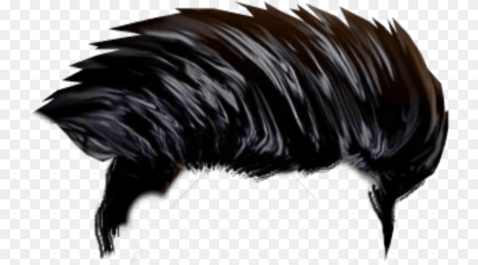 Free Editing Hair Hd With Transparent Hd Backgrounds For Photo Editing, Animal, Adult, Female, Hog Png Image