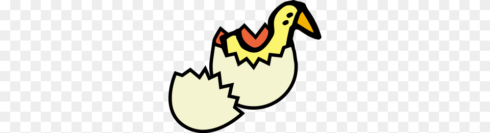 Egg Clipart Egg Icons, Animal, Beak, Bird Free Transparent Png