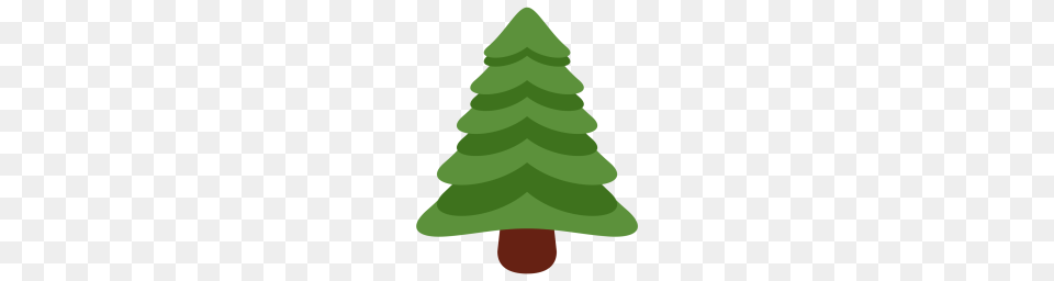 Free Evergreen Tree Christmas Pine Icon Download, Plant, Fir, Christmas Decorations, Festival Png Image