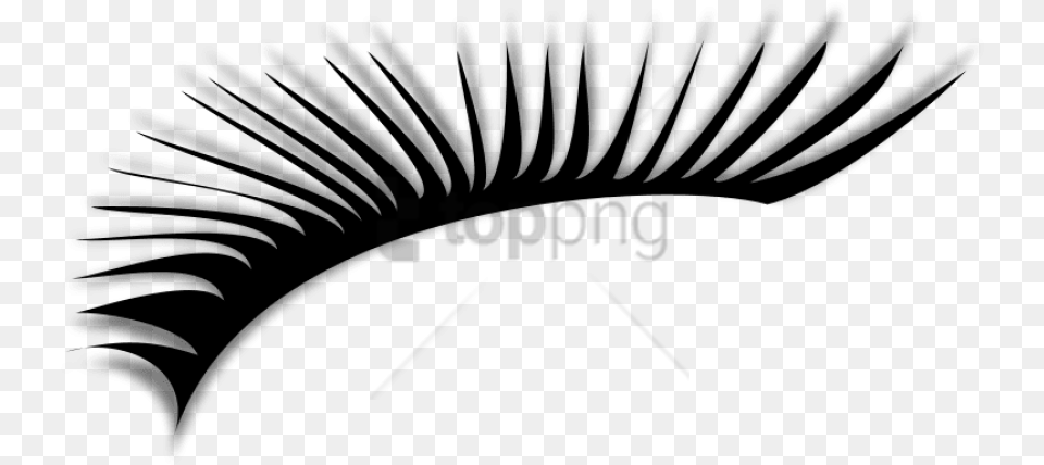 Eye Lashes With Transparent Background Clipart Eye Lashes, Animal, Bird, Vulture, Silhouette Free Png