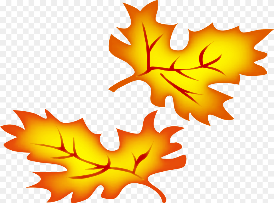 Free Fall Clip Art, Leaf, Plant, Tree, Person Png Image