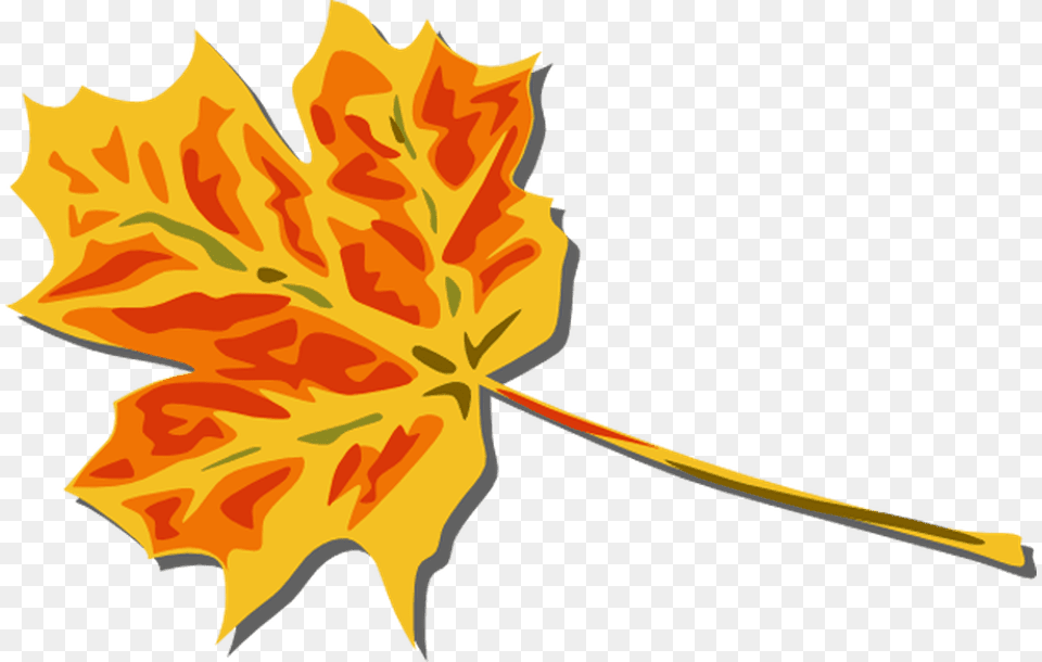 Fall Clip Art To Printable Fall Clip Art, Leaf, Plant, Maple Leaf, Tree Free Png