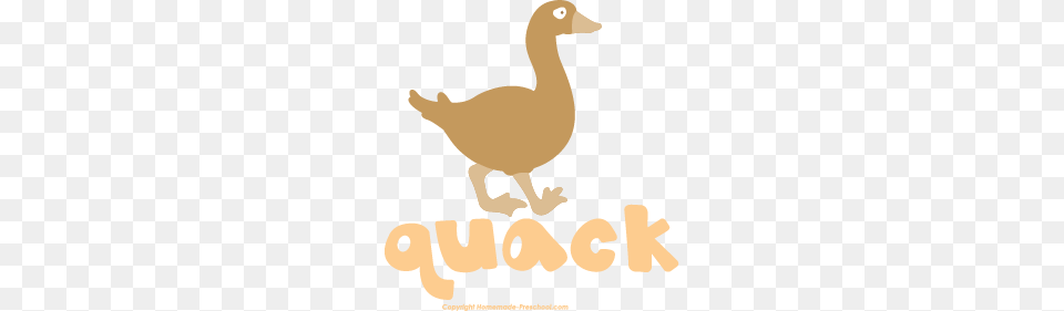 Farm Animal Clipart, Bird, Goose, Waterfowl, Duck Free Transparent Png