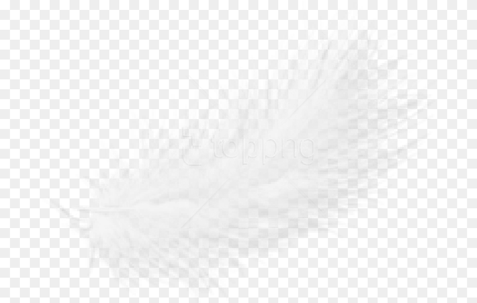Free Feather Transparent White Feathers Free, Accessories, Feather Boa, Person Png Image