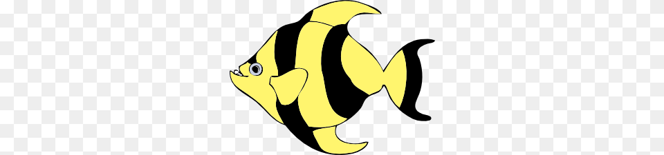 Free Fish Clip Art You Can Swim, Angelfish, Animal, Sea Life, Rock Beauty Png Image