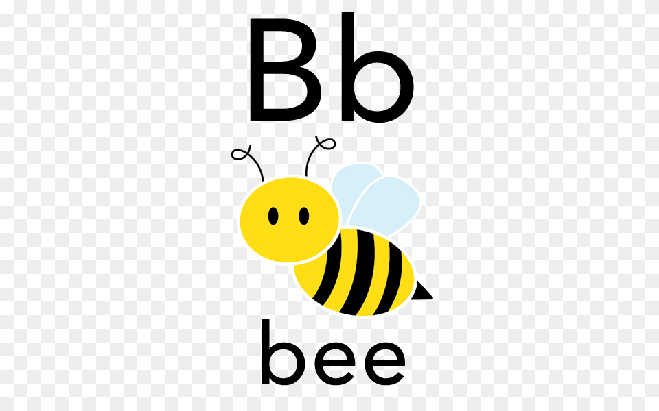 Free Flashcards For Babies Toddlers And Young Children All, Animal, Bee, Honey Bee, Insect Png