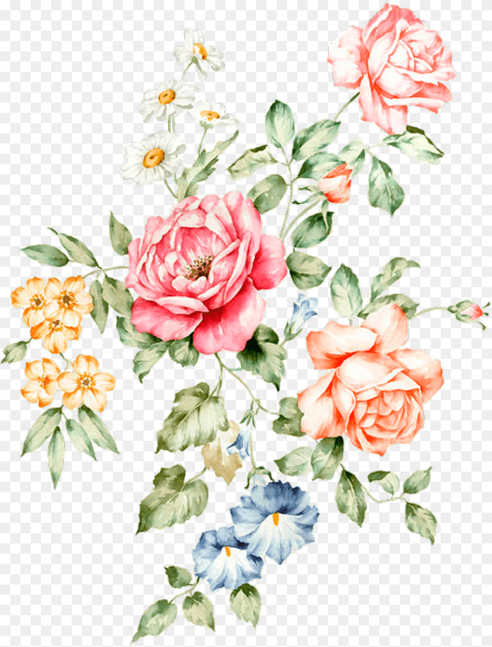 Floral, Flower, Pattern, Plant, Art Free Transparent Png