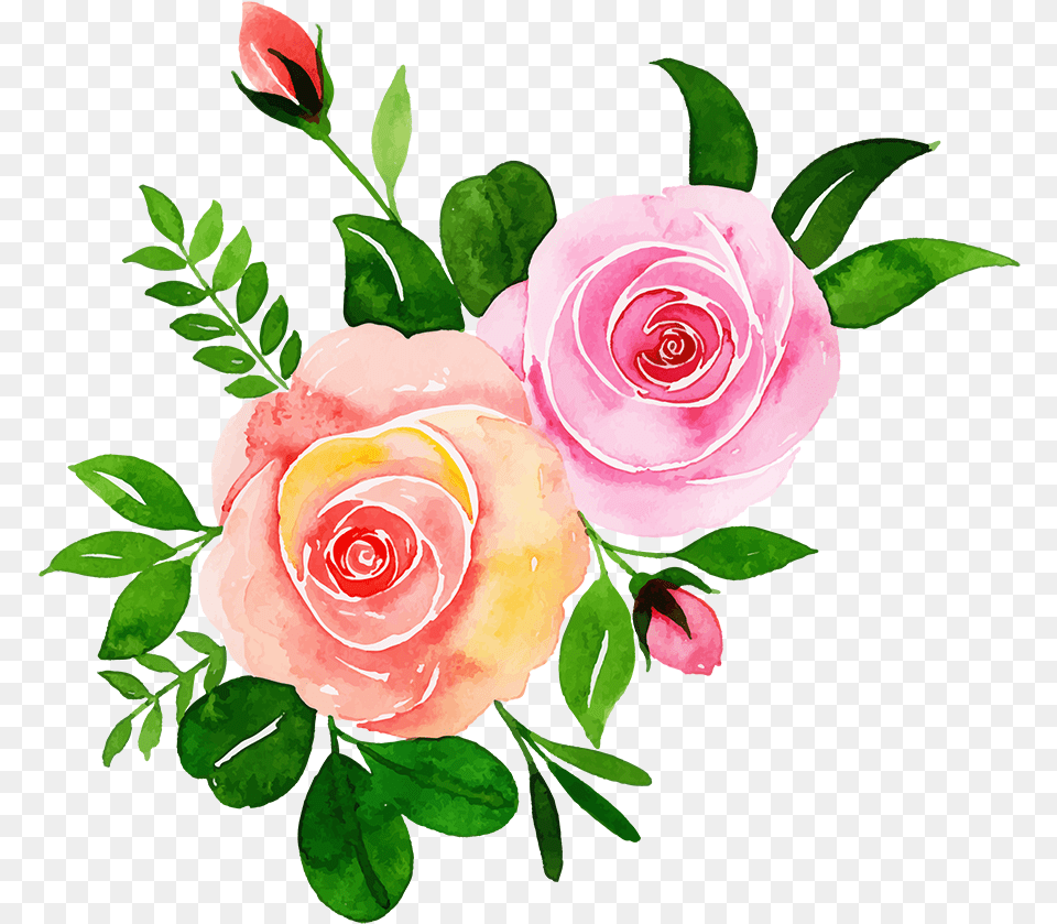 Floral Bouquets Garden Roses, Flower, Plant, Rose, Art Free Png Download