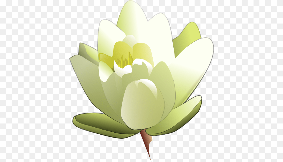 Free Floral Clipart, Flower, Plant, Lily, Pond Lily Png