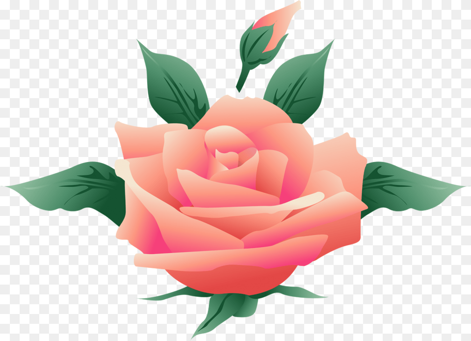 Free Floral Vector Art, Flower, Plant, Rose, Baby Png