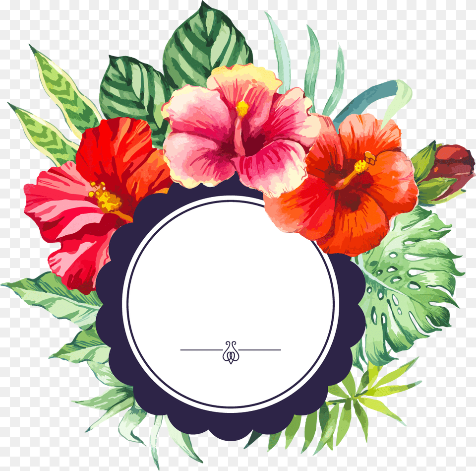 Flower Border, Plant, Anther, Hibiscus, Geranium Free Transparent Png