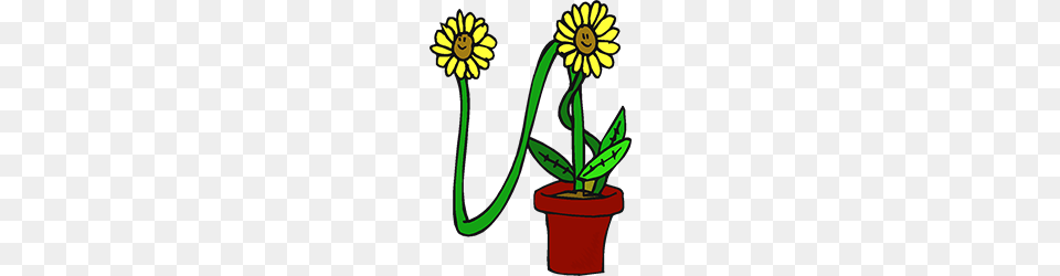 Free Flower Clipart, Daisy, Flower Arrangement, Plant, Petal Png Image