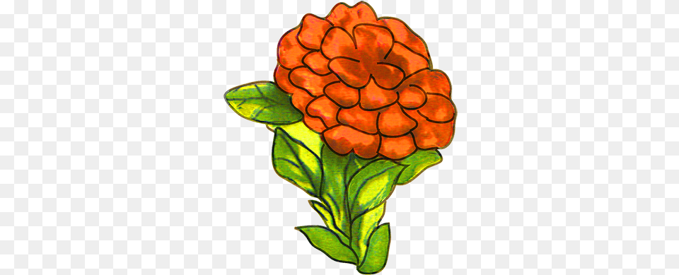 Free Flower Clipart English Marigold, Dahlia, Plant, Tree, Annonaceae Png