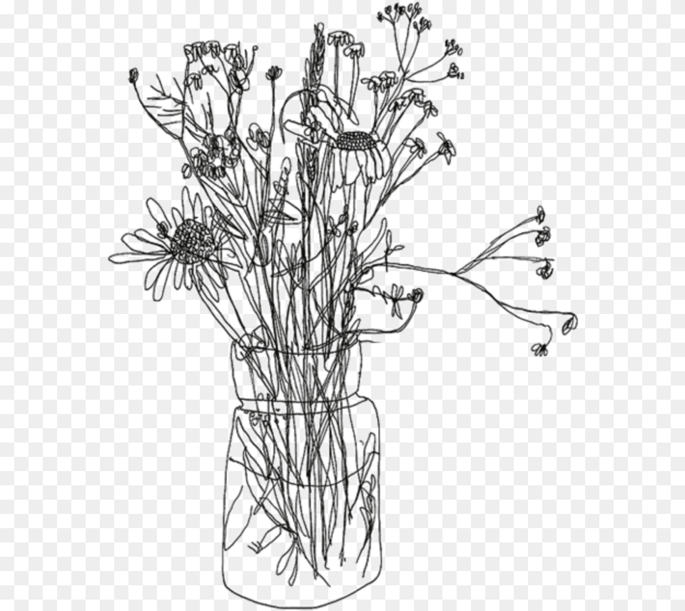 Free Flower Drawing Transparent Background Download Aesthetic Flower Drawing, Art, Plant, Chandelier, Lamp Png