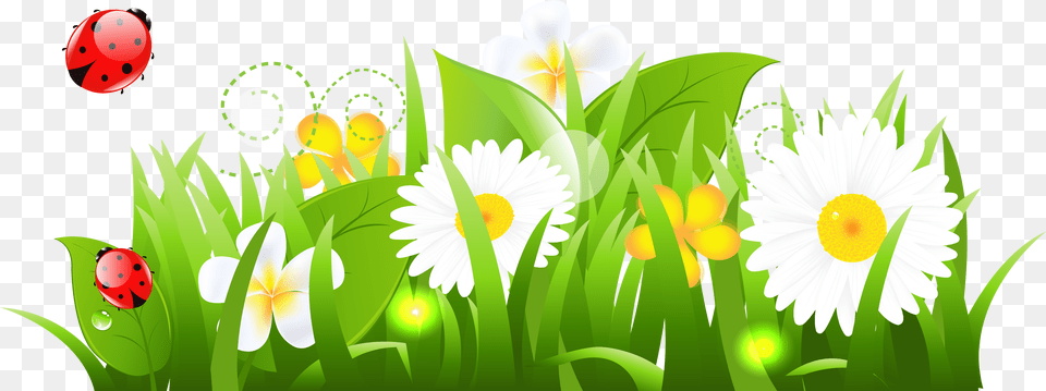 Flower Grass Cliparts Clip Art Grama Com Flor Desenho, Plant, Green, Graphics, Daisy Free Png Download