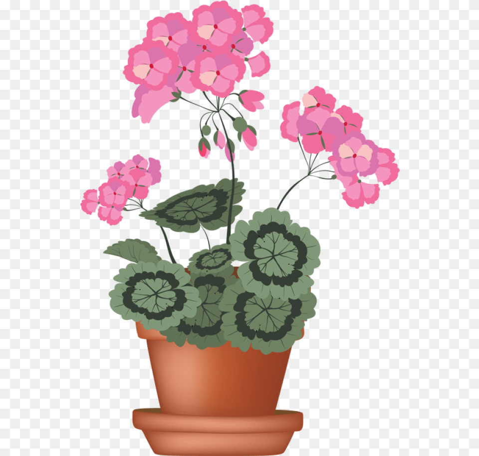 Flower Pots Download Clip Art Potted Flower Clip Art, Geranium, Plant, Potted Plant Free Transparent Png