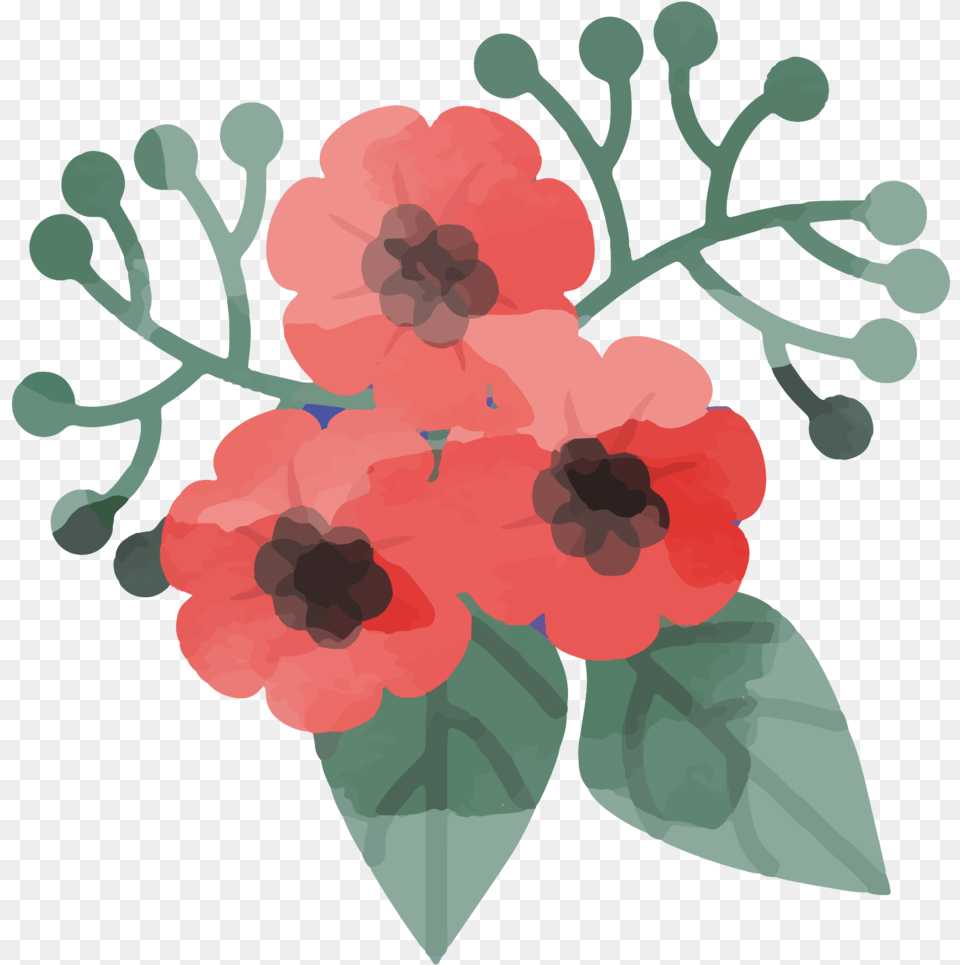 Free Flower Watercolor With Poppy, Plant, Hibiscus, Rose Png Image