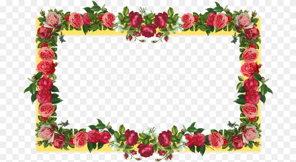 Free Flowers Borders S Rose Flowers Border Design, Art, Plant, Pattern, Graphics Png Image